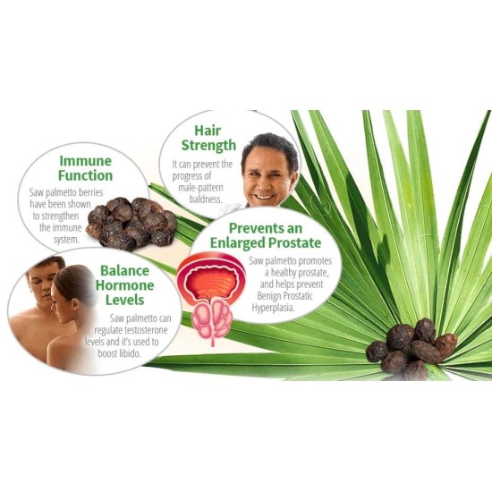 Saw palmetto extract 45% fatty acid serenoa repens powder urinary prostate support supplement Saw palmetto extract 45% fatty acid serenoa repens powder urinary prostate support supplement