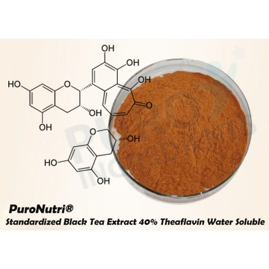 Factory Supply Standardized Black Tea Extract 40% Theaflavin Supplement Powder Water Soluble to Help Support Arterial Health 