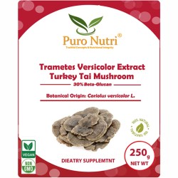 Trametes versicolor Coriolus versicolor extract Turkey tai Polyporales mushroom polysaccharides powder 