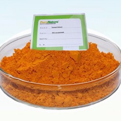 Organic turmeric root extract powder curcumin standardized 95% curcuminoids herbal supplement