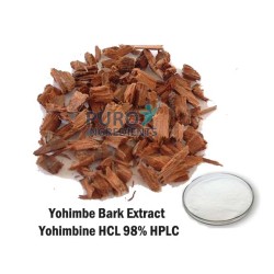 Yohimbe Bark Extract Yohimbine HCL 98% Pausinystalia Yohimbe CAS No.: 65-19-0